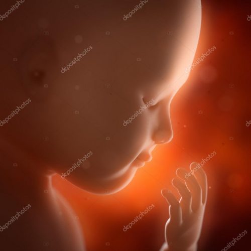 Ultrassonografia obstétrica com cálculo de risco fetal